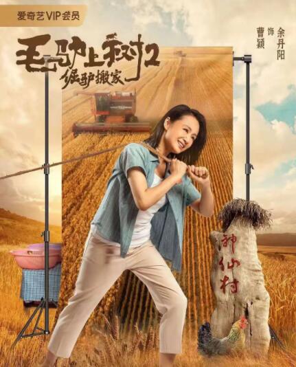 夫人不礼貌的行动