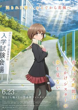 九色91av