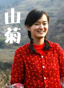 天天想夜夜爽