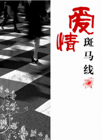 梁朝伟和汤唯的免费观看