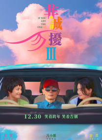 久久成人午夜视频