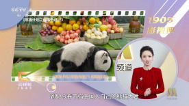 叶渺渺校园啪啪黄文小说